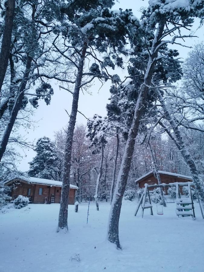 Du Bois De Vache Chalet Le Poet-Celard