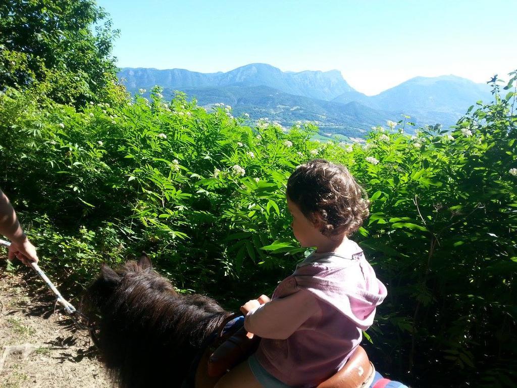 Du Bois De Vache